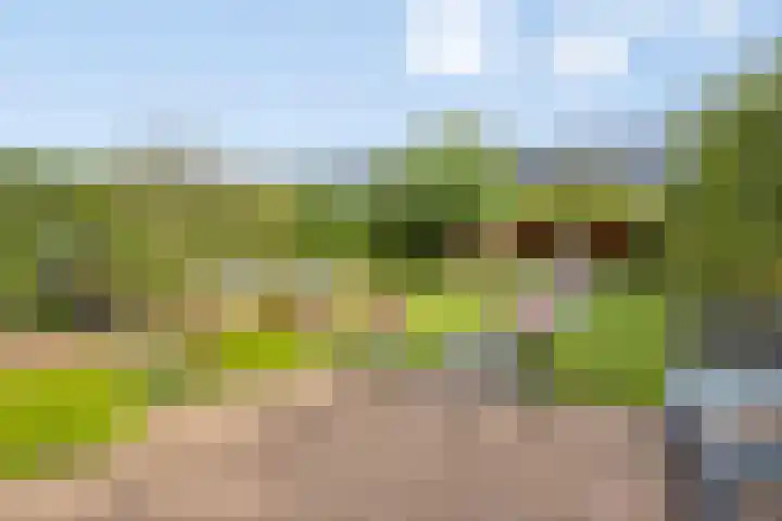 Laakse Laan 4 Zutphen thumbnail 36