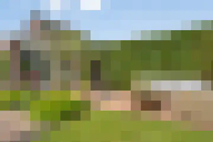 Laakse Laan 4 Zutphen thumbnail 37
