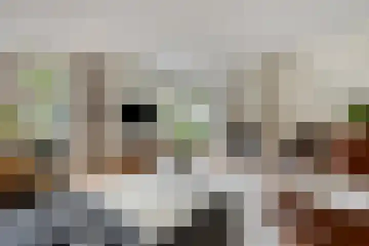 Laakse Laan 4 Zutphen thumbnail 4