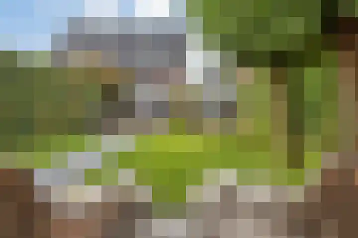 Laakse Laan 4 Zutphen thumbnail 41