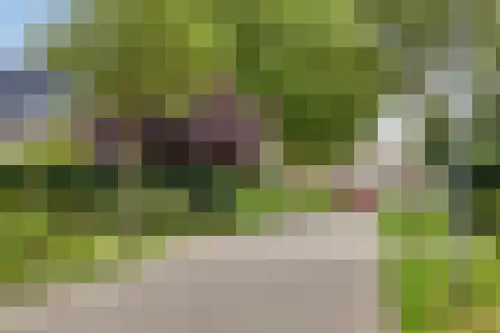 Laakse Laan 4 Zutphen thumbnail 47