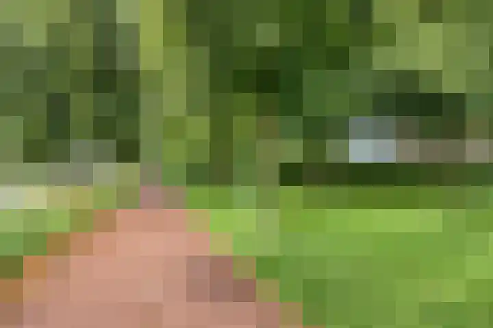 Laakse Laan 4 Zutphen thumbnail 48