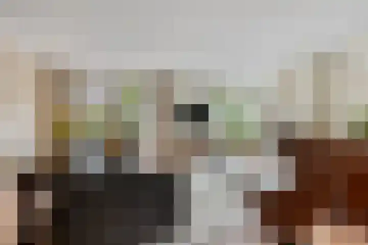 Laakse Laan 4 Zutphen thumbnail 7