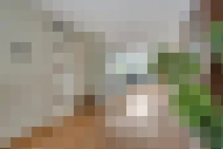 Laakse Laan 4 Zutphen thumbnail 9