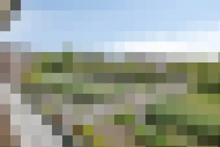 Laakse Laan 61 Zutphen thumbnail 11