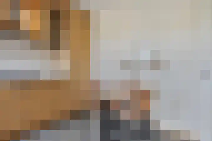 Laakse Laan 61 Zutphen thumbnail 14