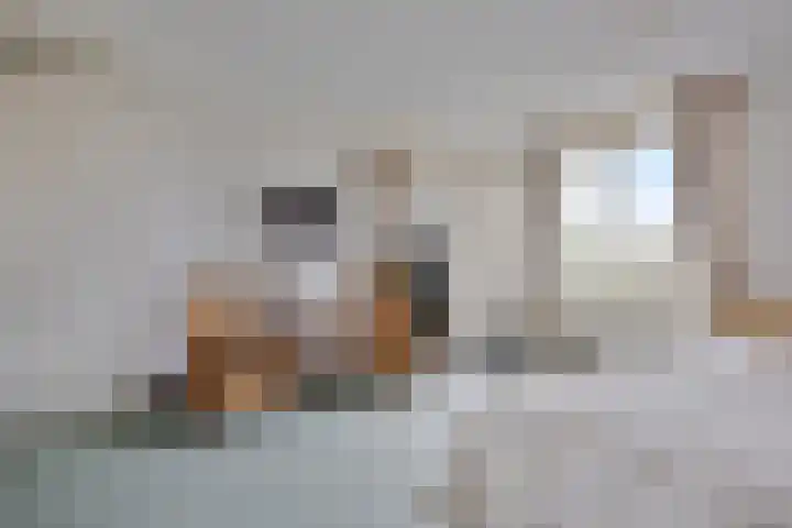 Laakse Laan 61 Zutphen thumbnail 19
