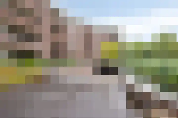 Laakse Laan 61 Zutphen thumbnail 26