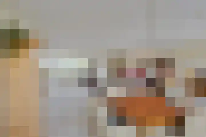 Laakse Laan 61 Zutphen thumbnail 4