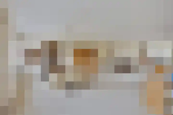 Laakse Laan 61 Zutphen thumbnail 5