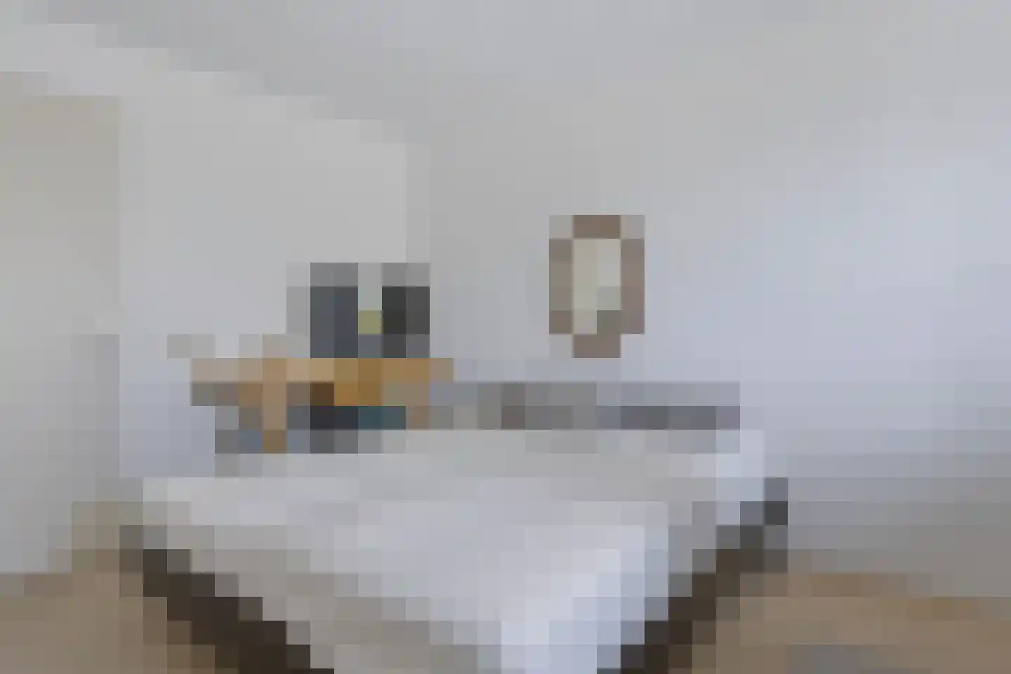 Laakse Laan 63 Zutphen thumbnail 38