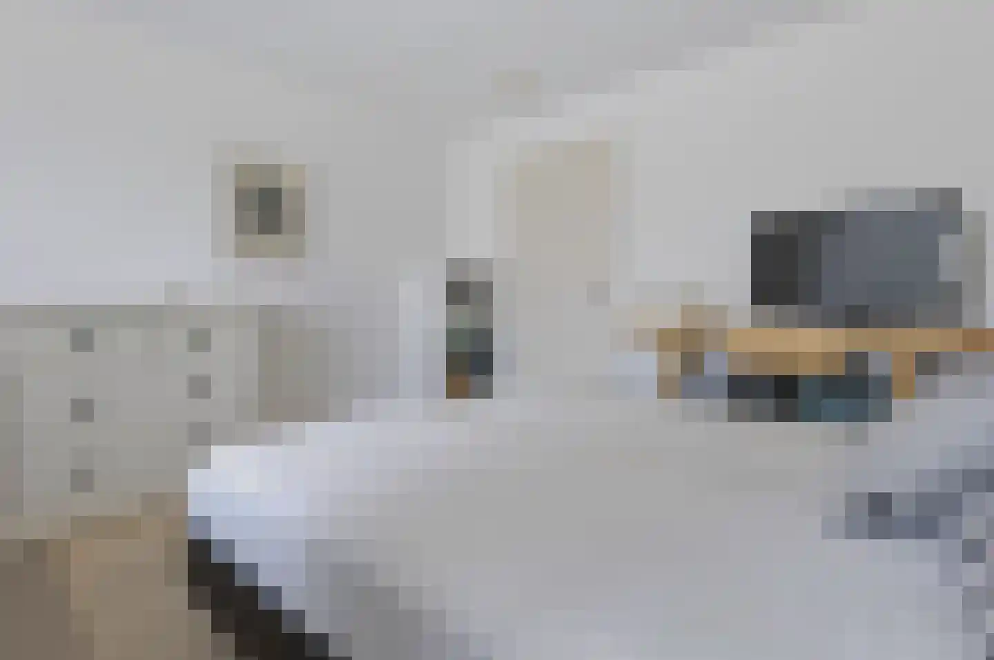 Laakse Laan 63 Zutphen thumbnail 39