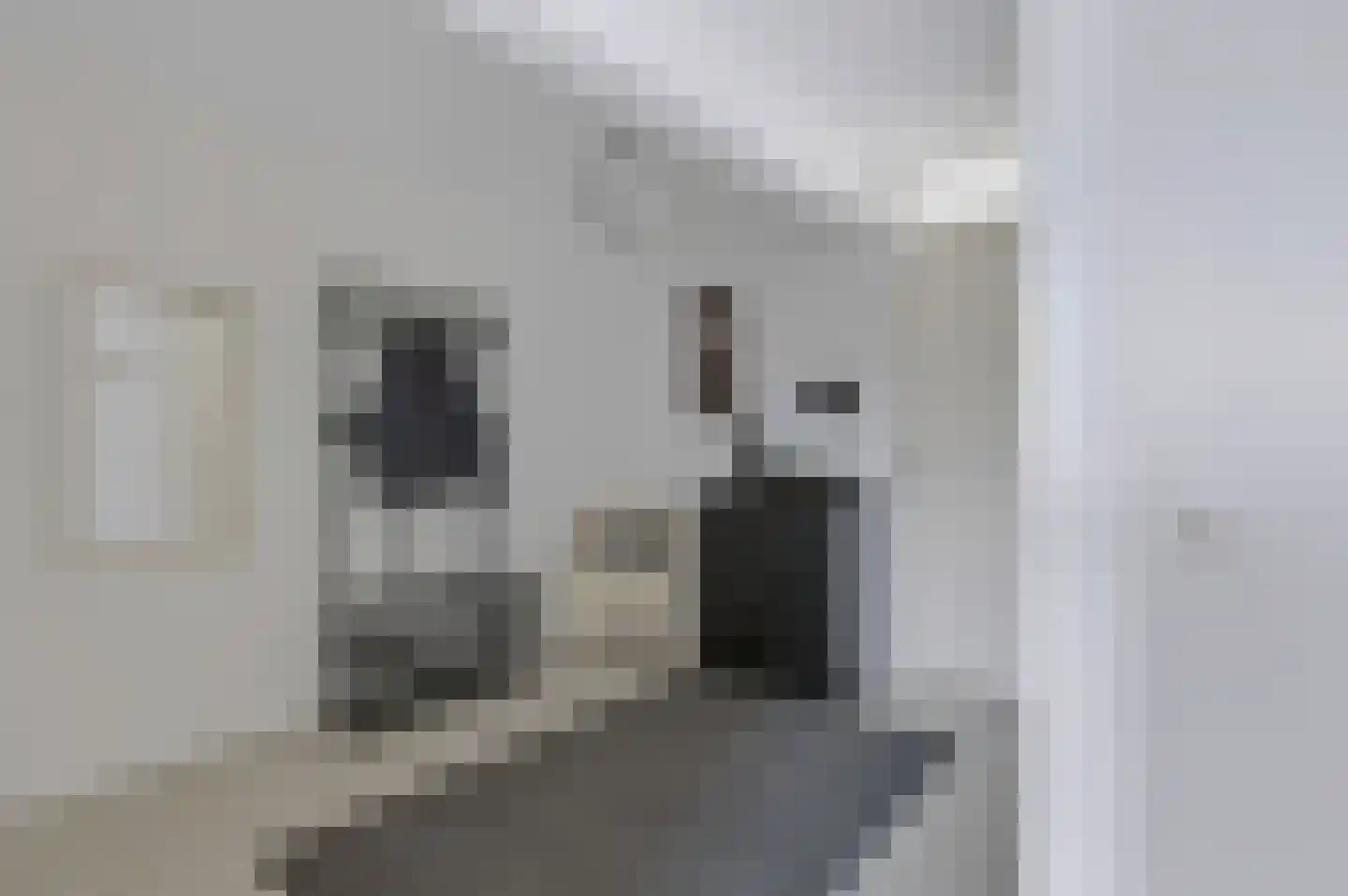 Laakse Laan 63 Zutphen thumbnail 40