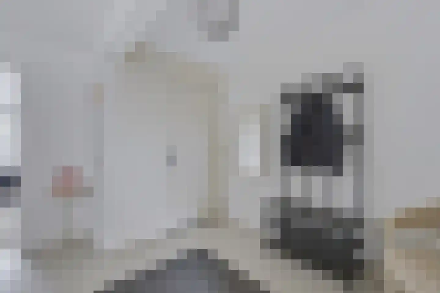Laakse Laan 63 Zutphen thumbnail 43