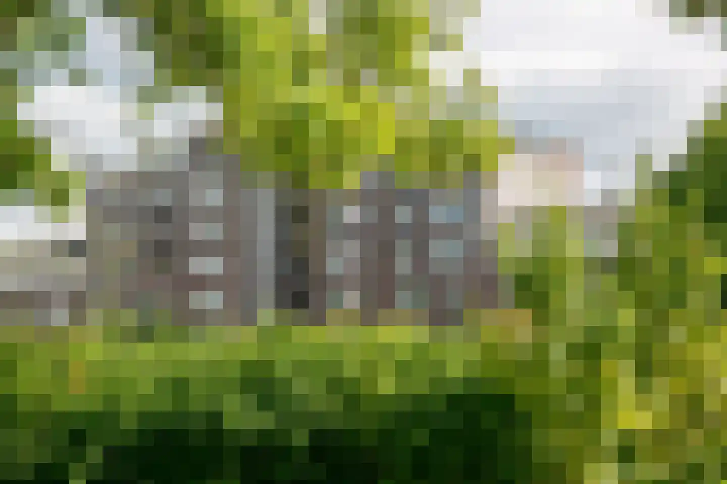 Laakse Laan 63 Zutphen thumbnail 51