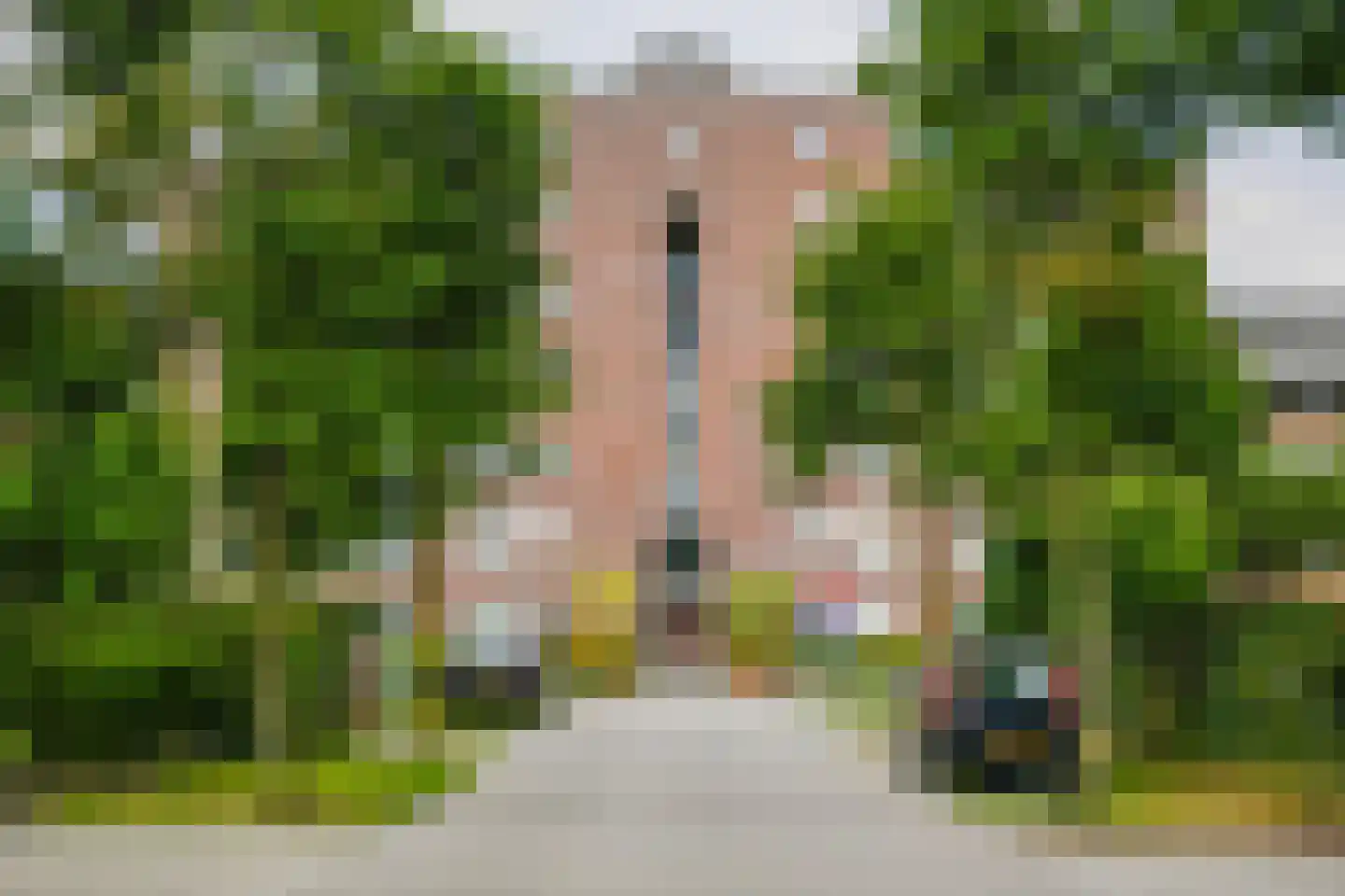 Laakse Laan 63 Zutphen thumbnail 6