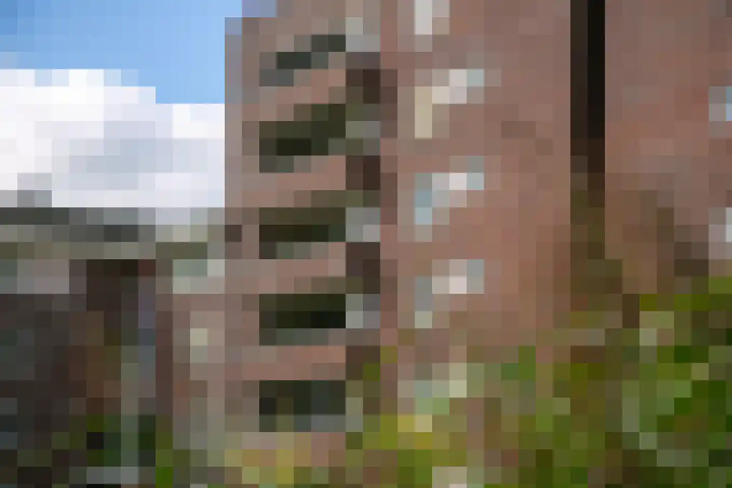 Laakse Laan 63 Zutphen thumbnail 7