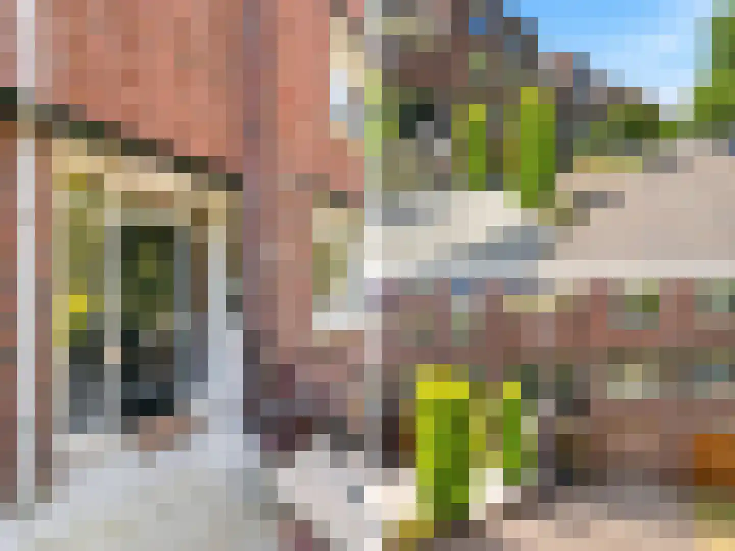 Laakse Laan 74 Zutphen foto 2