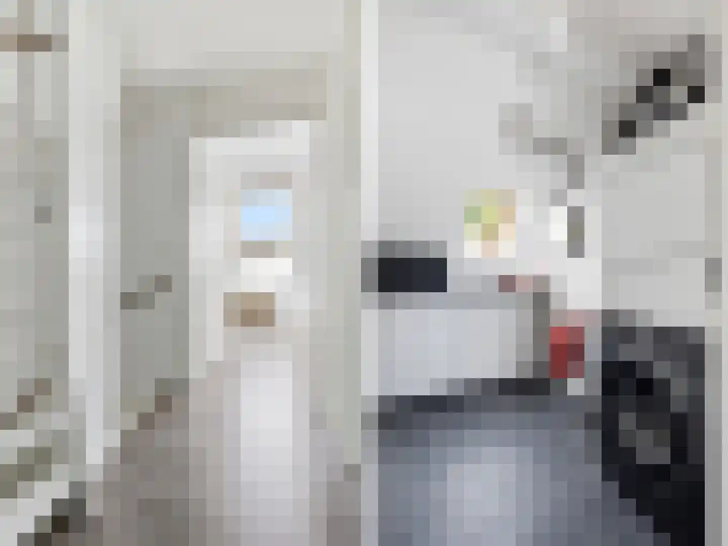 Laakse Laan 74 Zutphen thumbnail 21