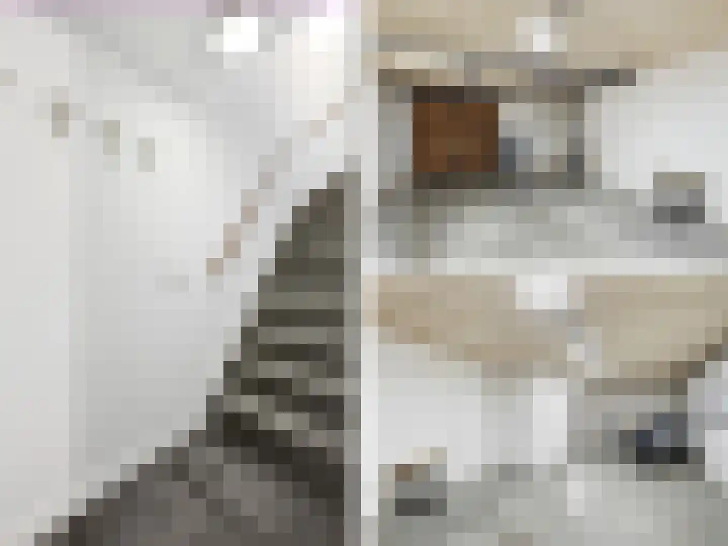 Laakse Laan 74 Zutphen thumbnail 26