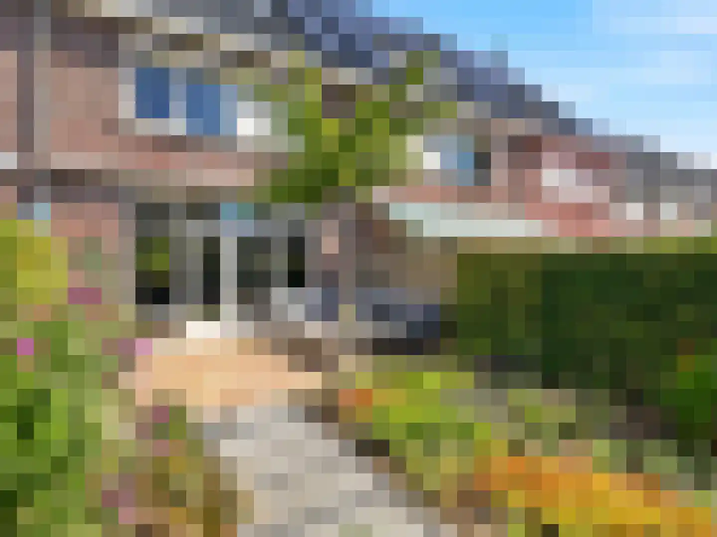Laakse Laan 74 Zutphen thumbnail 28