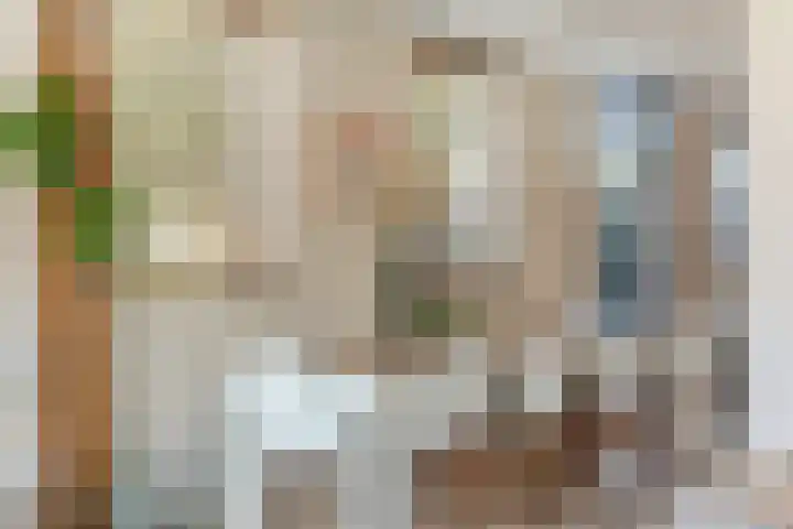 Laakse Oever 4 Zutphen thumbnail 14