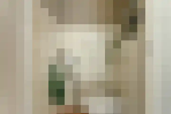 Laakse Oever 4 Zutphen thumbnail 16