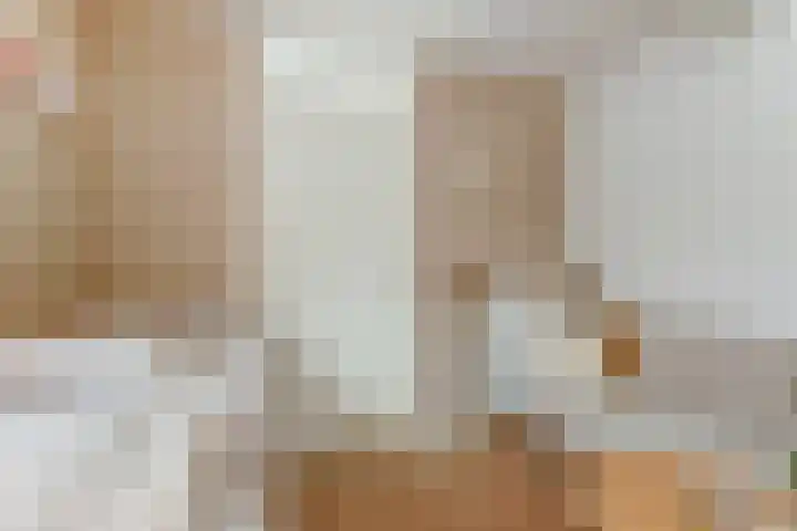 Laakse Oever 4 Zutphen thumbnail 17