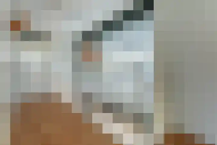 Laakse Oever 4 Zutphen thumbnail 19