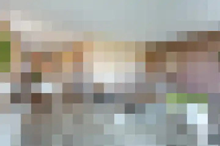 Laakse Oever 4 Zutphen foto 2