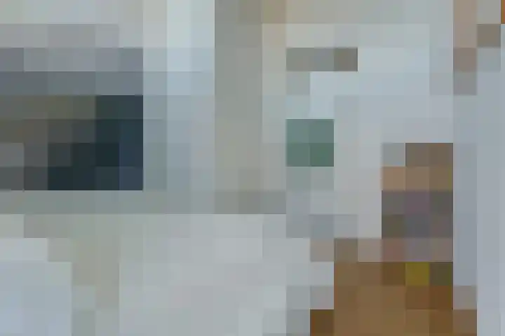 Laakse Oever 4 Zutphen thumbnail 23
