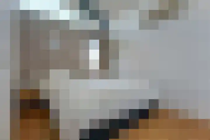 Laakse Oever 4 Zutphen thumbnail 24
