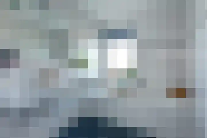 Laakse Oever 4 Zutphen thumbnail 28