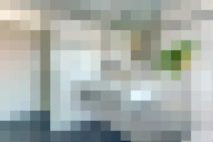 Laakse Oever 4 Zutphen thumbnail 29