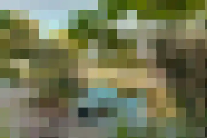 Laakse Oever 4 Zutphen foto 3