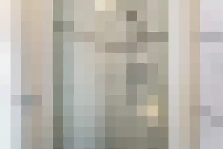 Laakse Oever 4 Zutphen thumbnail 30