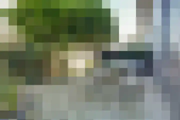 Laakse Oever 4 Zutphen thumbnail 37
