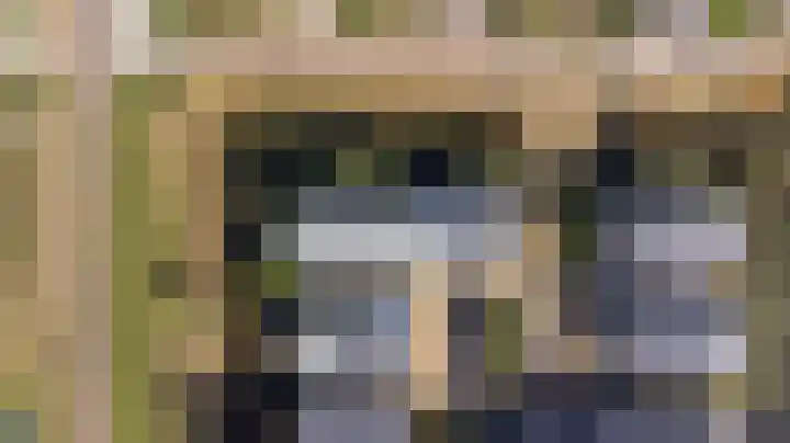Laakse Oever 4 Zutphen thumbnail 4