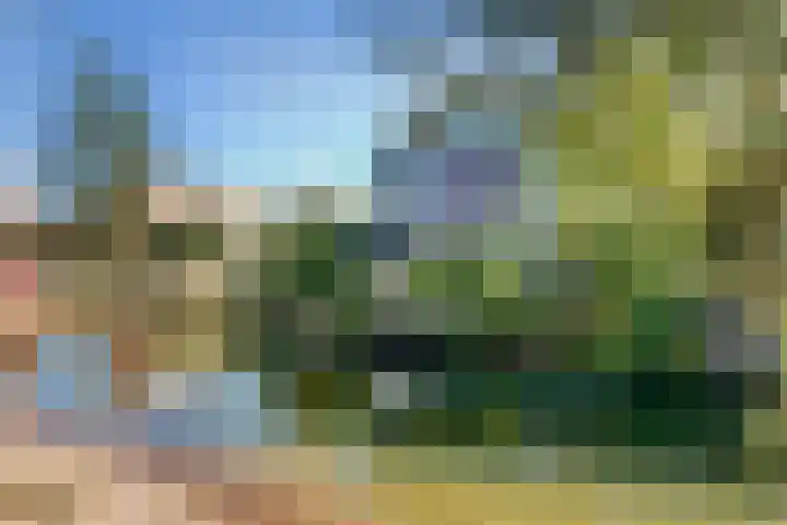 Laakse Oever 4 Zutphen thumbnail 7