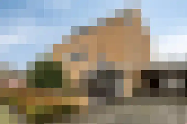 Laakse Oever 59 Zutphen