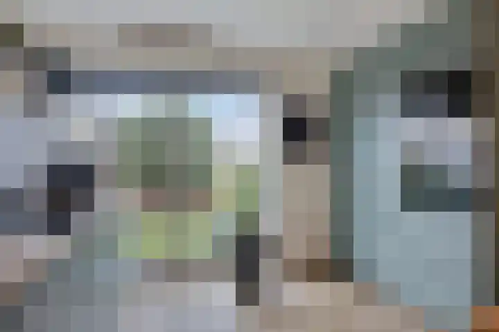 Laakse Oever 59 Zutphen thumbnail 11