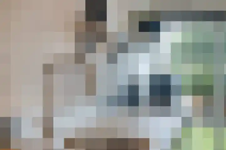 Laakse Oever 59 Zutphen thumbnail 12