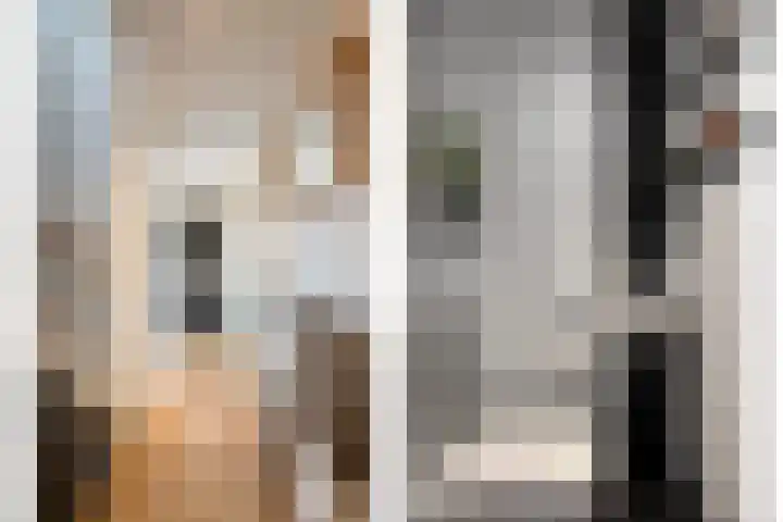 Laakse Oever 59 Zutphen thumbnail 13