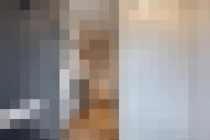 Laakse Oever 59 Zutphen thumbnail 14