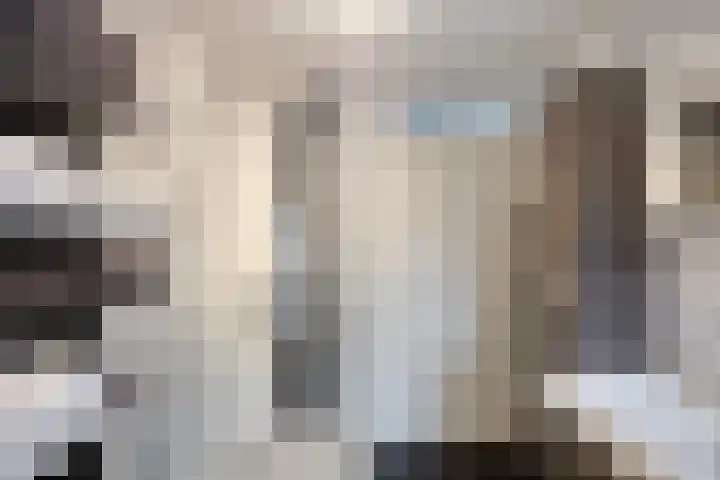 Laakse Oever 59 Zutphen thumbnail 22