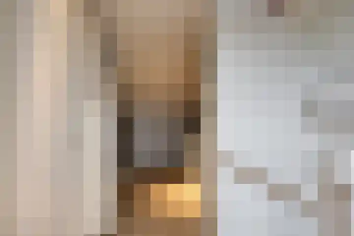Laakse Oever 59 Zutphen thumbnail 24