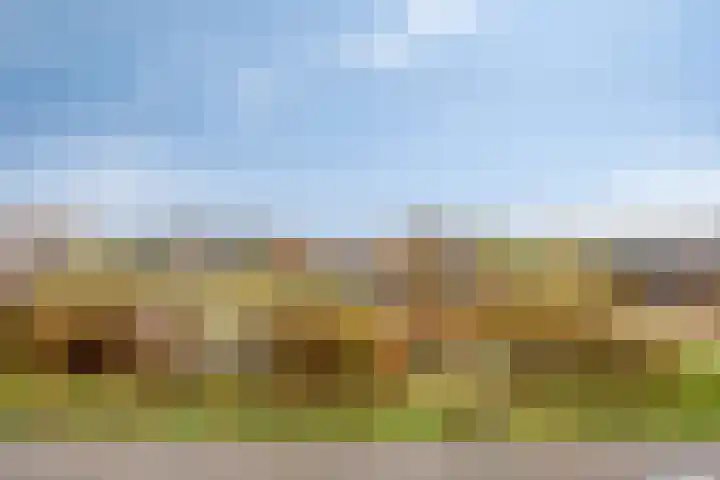 Laakse Oever 59 Zutphen thumbnail 31