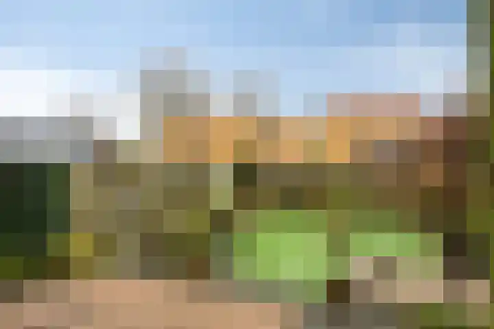 Laakse Oever 59 Zutphen thumbnail 32