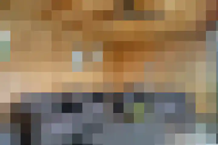 Laakse Oever 59 Zutphen thumbnail 37