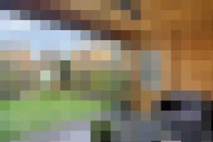 Laakse Oever 59 Zutphen thumbnail 38